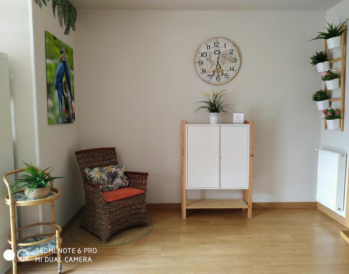 Bermeo Y Urdaibai - Parking-Ascensor - Wifi - Tranquilo Apartment Ngoại thất bức ảnh